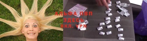 круглые Алексеевка