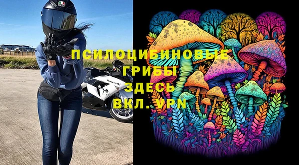 круглые Алексеевка