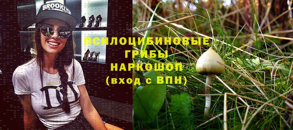 гидра Алексин
