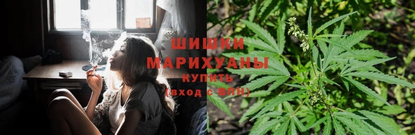 гидра Алексин