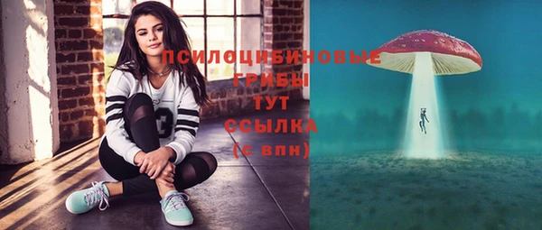 круглые Алексеевка